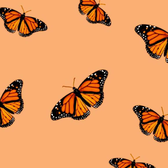 shop coming soon! - Picture 1 of 1